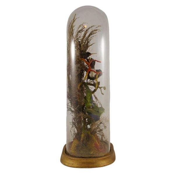 French Antique Victorian Glass Dome Displaying Taxidermy Birds