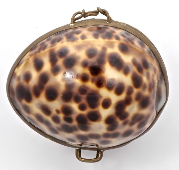 Vintage Polished Tiger Cowrie Shell Brass Frame Trinket Box